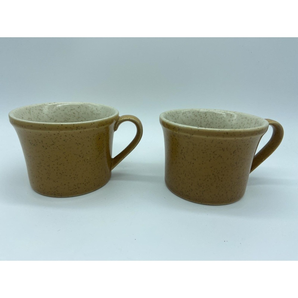 Stone Orange Japan Set Of 2 Premiere Dura P9200 Coffee Cups Mugs Stoneware Boho